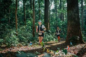 BIB: 
                            <button type="button" onclick="openModal(26129569)" class="btn btn-primary btn-sm float-right btn-popup" data-toggle="modal" data-target=".modal-high-quality">
                        <i class="fas fa-shopping-cart"></i> Add to Cart
                    </button>
                                            <button type="button" onclick="isThisMe(26129569, true)" class="btn btn-success btn-sm float-right btn-popup btn-isme hidden" data-toggle="tooltip" data-placement="bottom" title="นี่คือรูปของคุณใช่ไหม คลิกที่นี่เพื่อเอาเข้าอัลบั้ม">
                        <i class="fas fa-plus"></i> Add to album
                    </button>
                    <button type="button" onclick="isThisMe(26129569, false)" class="btn btn-warning btn-sm float-right btn-popup btn-isnotme hidden">
                        <i class="fas fa-ban"></i> Remove from album
                    </button>